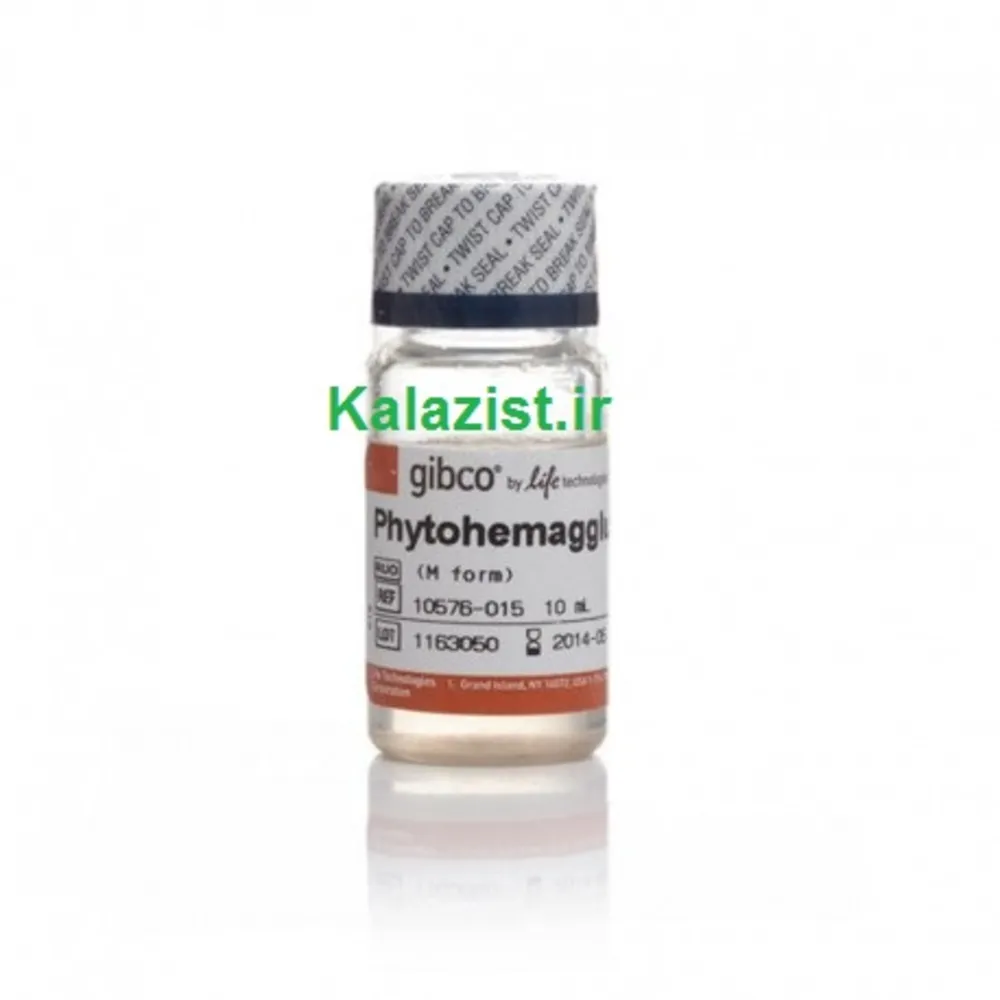 PHA فیتوهماگلوتینین phytohemagglutinin kalazist کالا زیست Gibco گیبکو